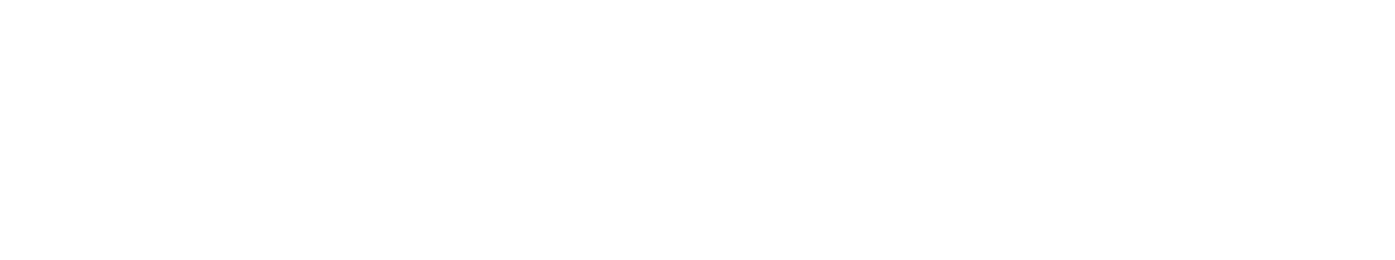 Fleet Management Logo